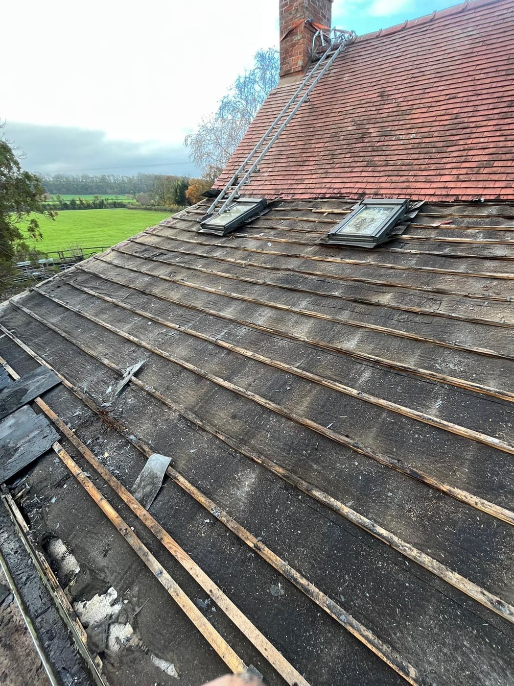 New roofs 01