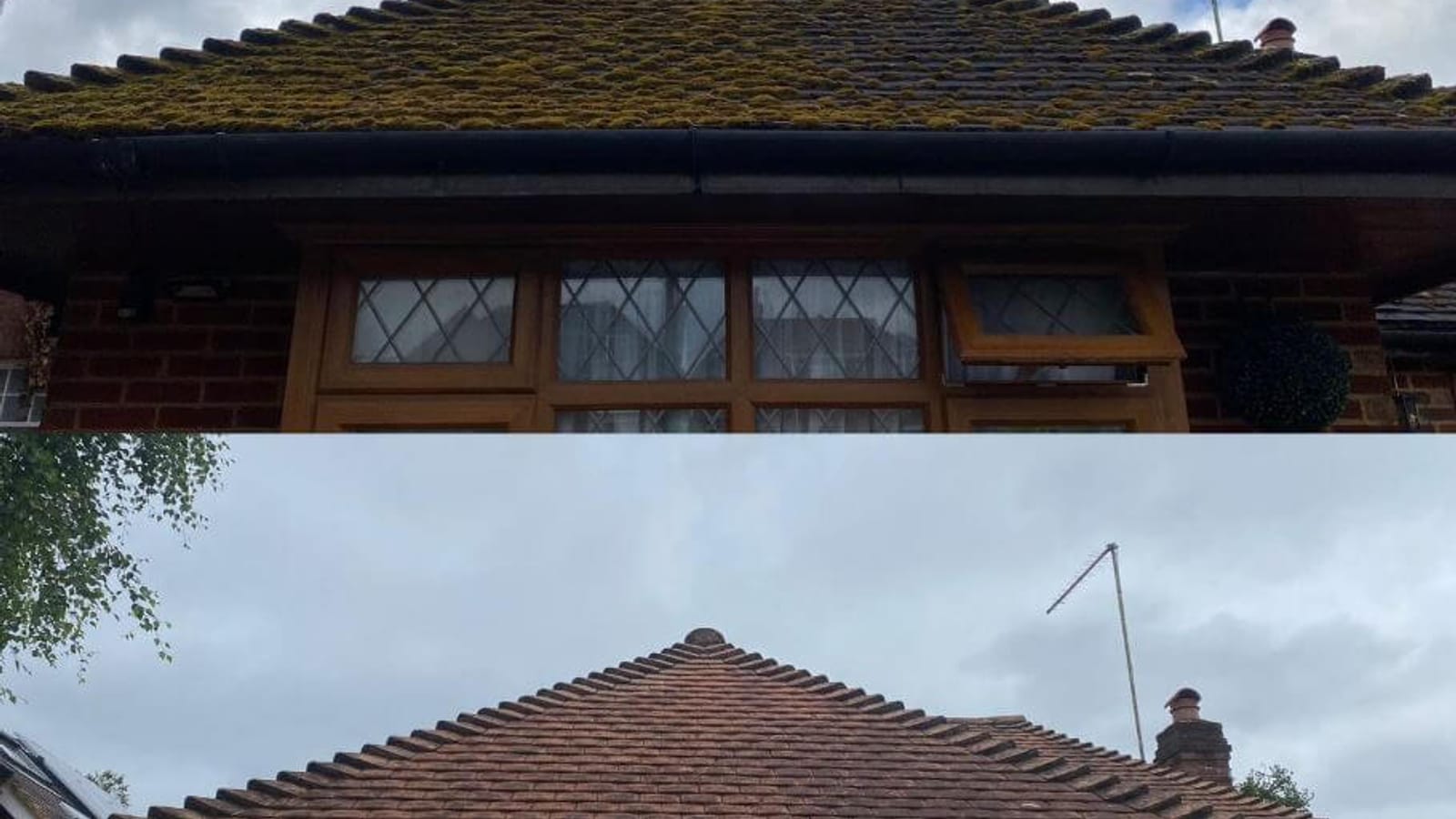 Photo of moss removal work, add a real photo